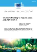 EU-wide methodology to map and assess ecosystem condition