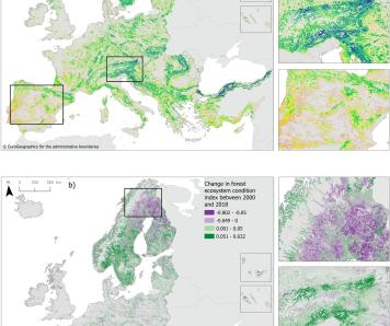 Forest condition in Europe